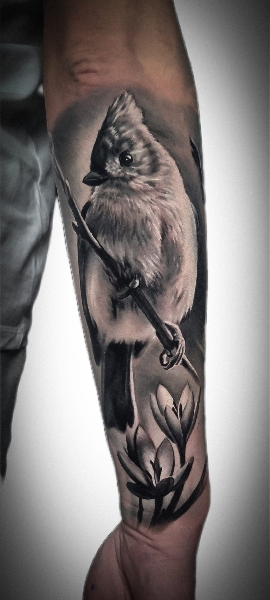 Sikora czubata na gałęzi z kwiatami w realizmie black&grey